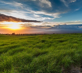 kula homes for sale maui