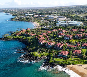 wailea condos for sale