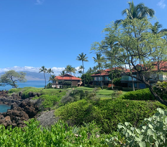 Wailea Point Condos For Sale Maui's Best Condos Maui Elite Property