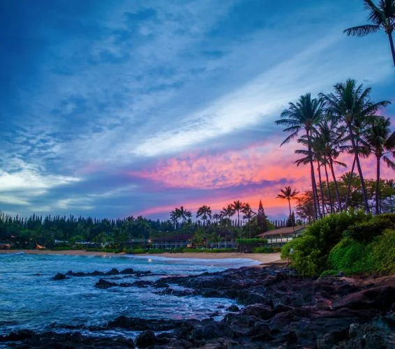 1 of 1 Napili Surf For SaleImage