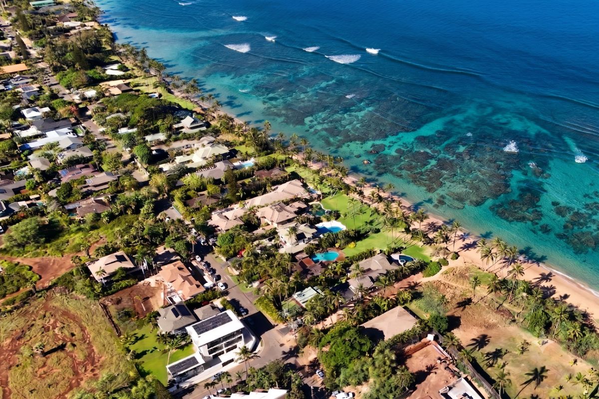 Maui Market