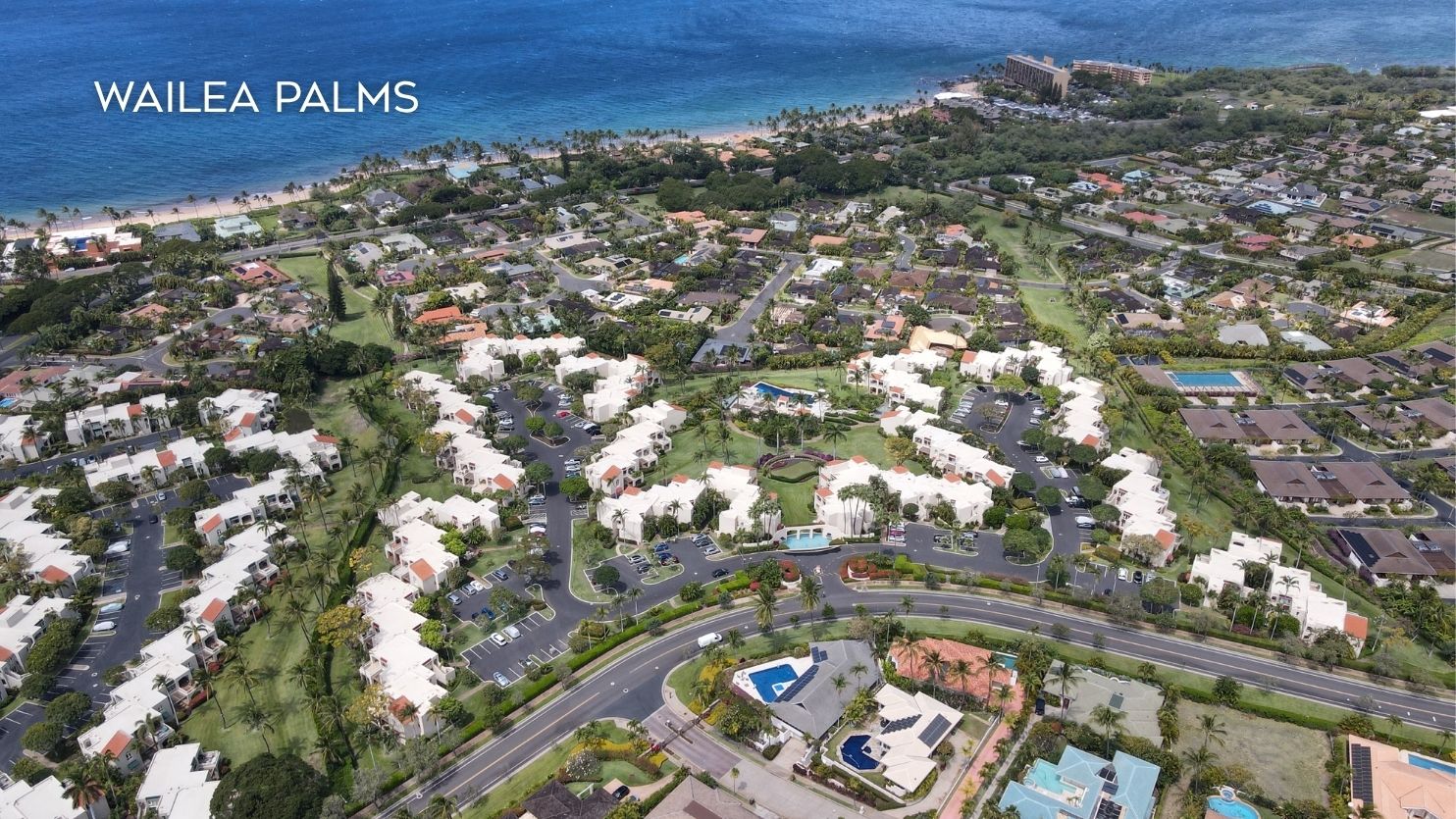 Wailea palms