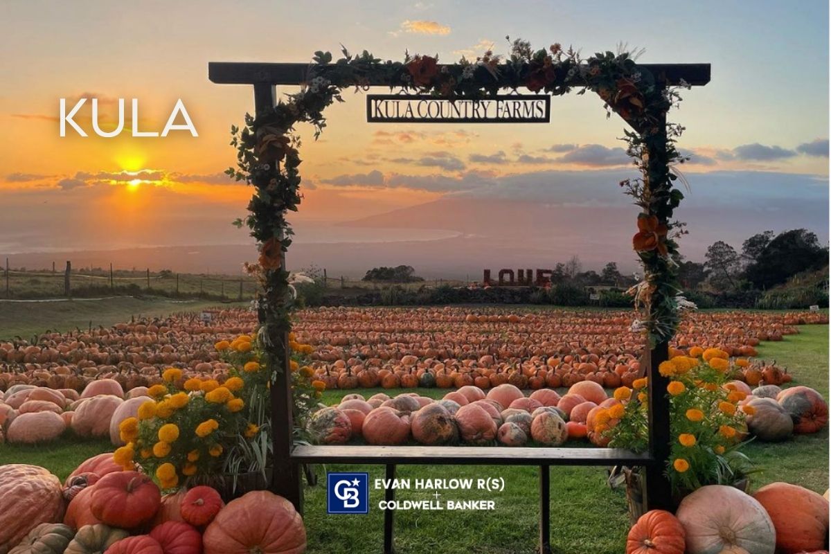 Kula Real Estate